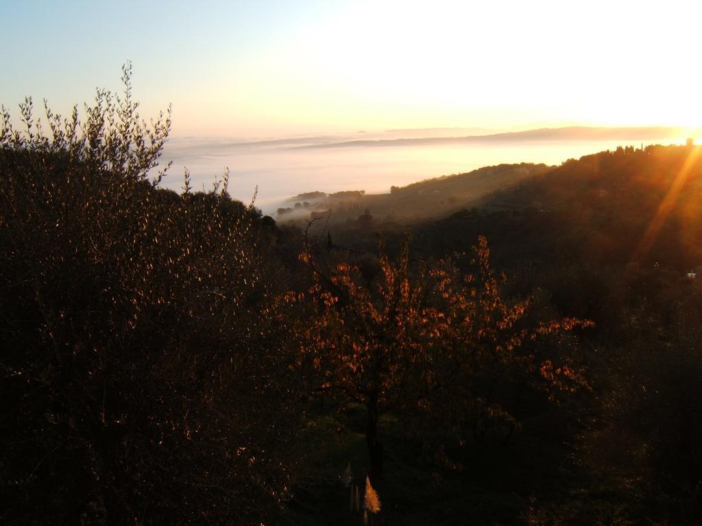 Villa Santa Maria Montalcino Bagian luar foto
